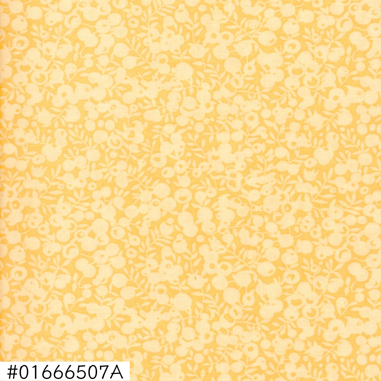 01666507A