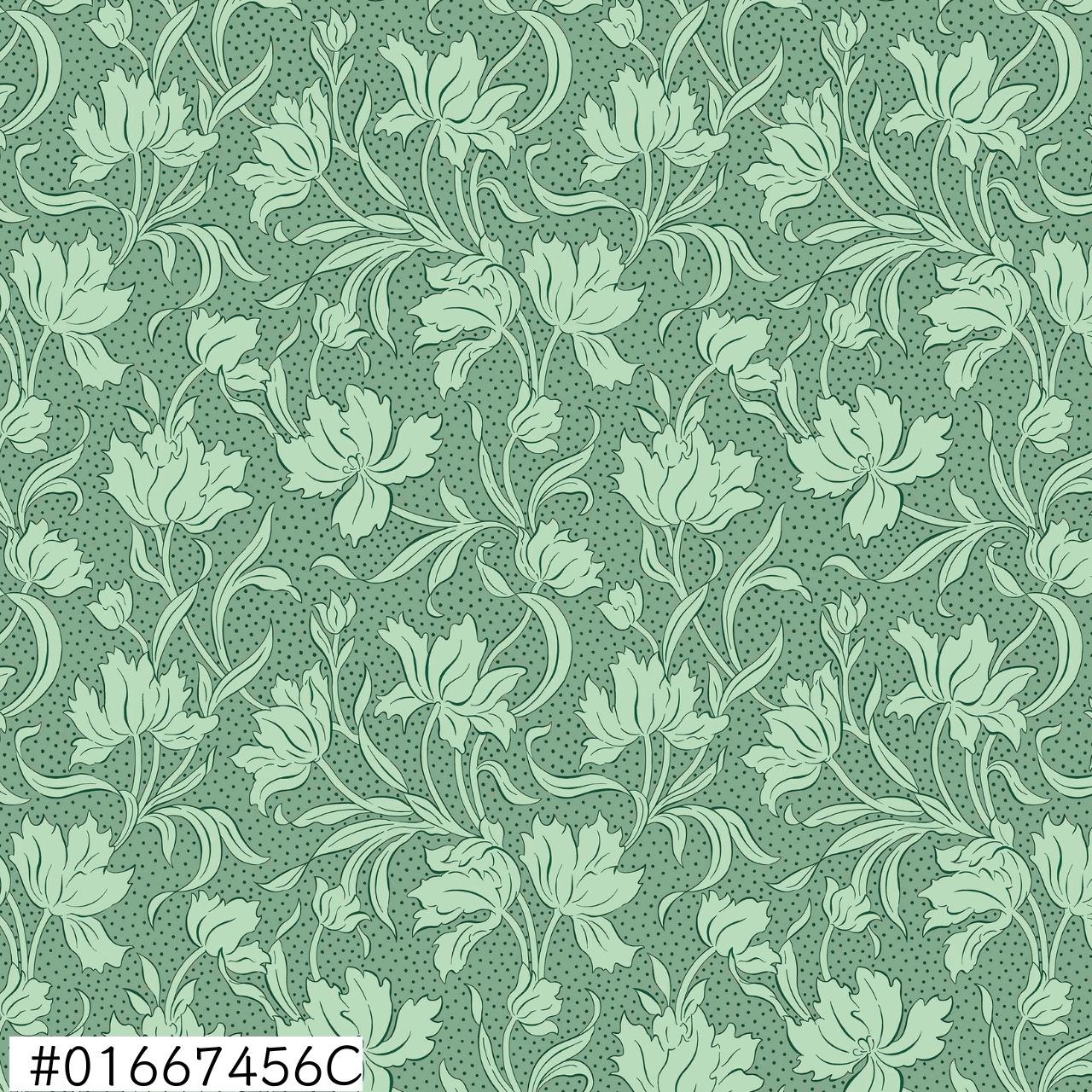 01667456C