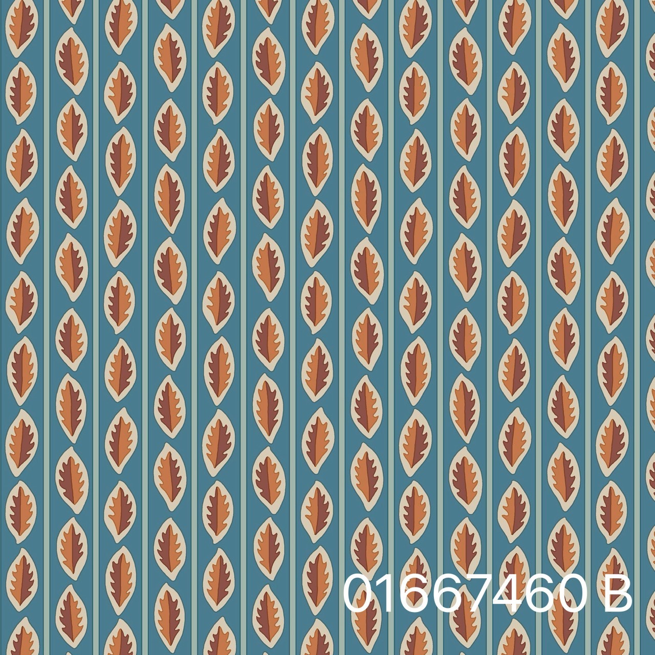 S__31072279