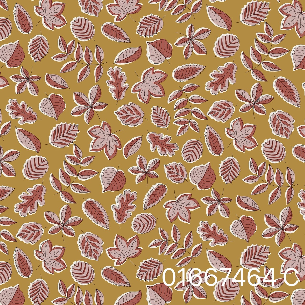 S__31072276