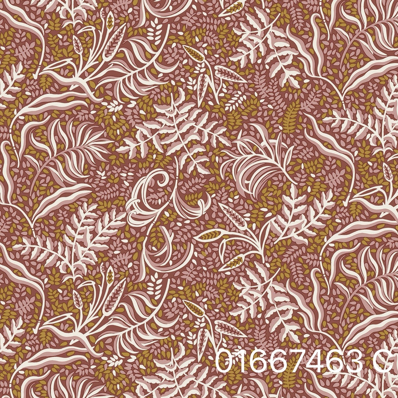 S__31072273