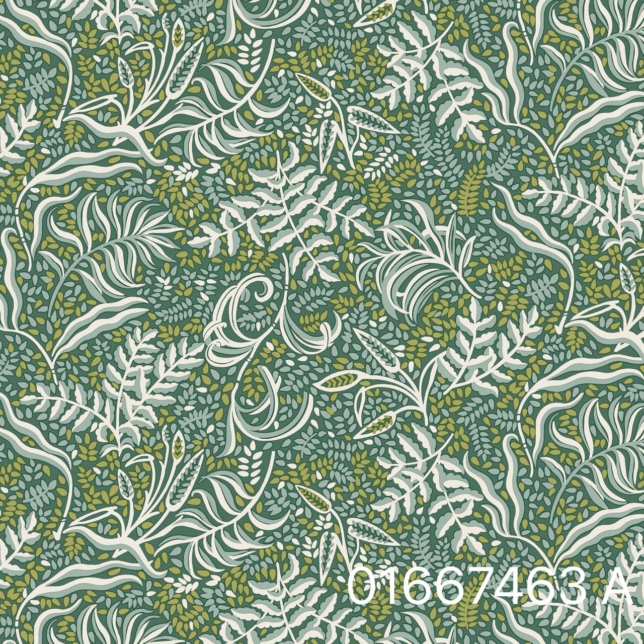 S__31072271