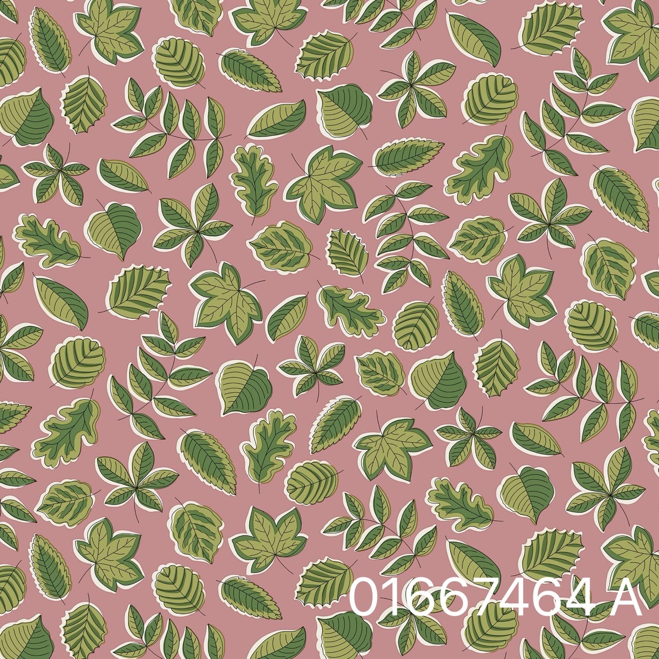 S__31088642