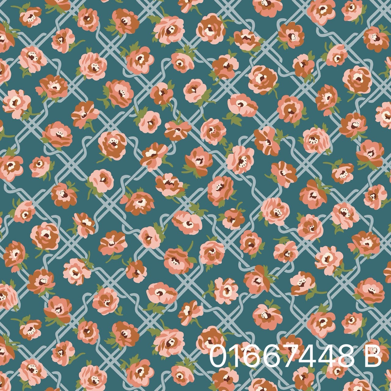 S__31072287