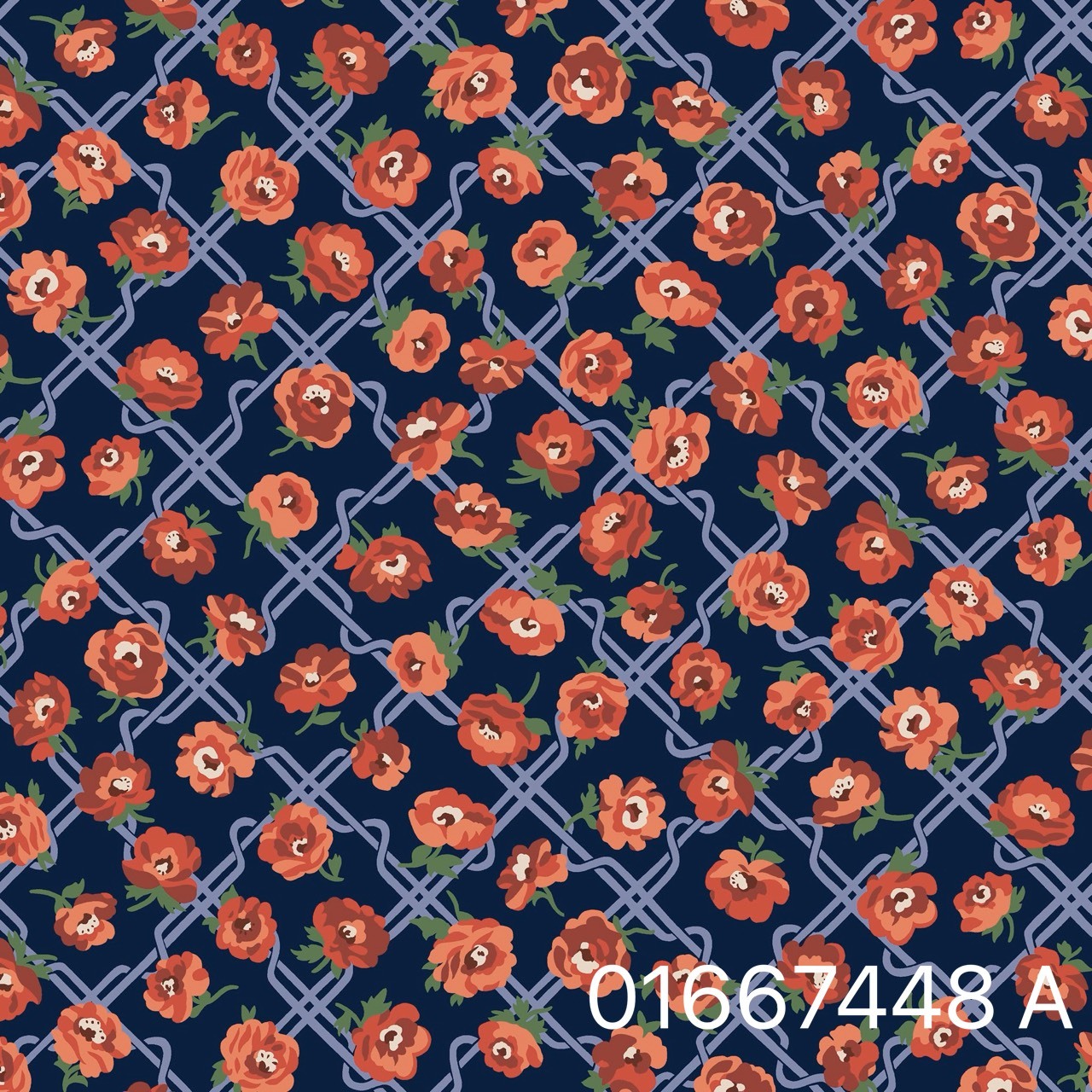 S__31072284