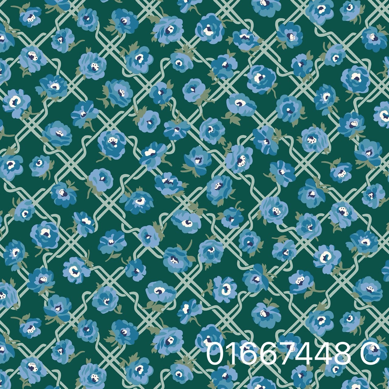 01667448 C