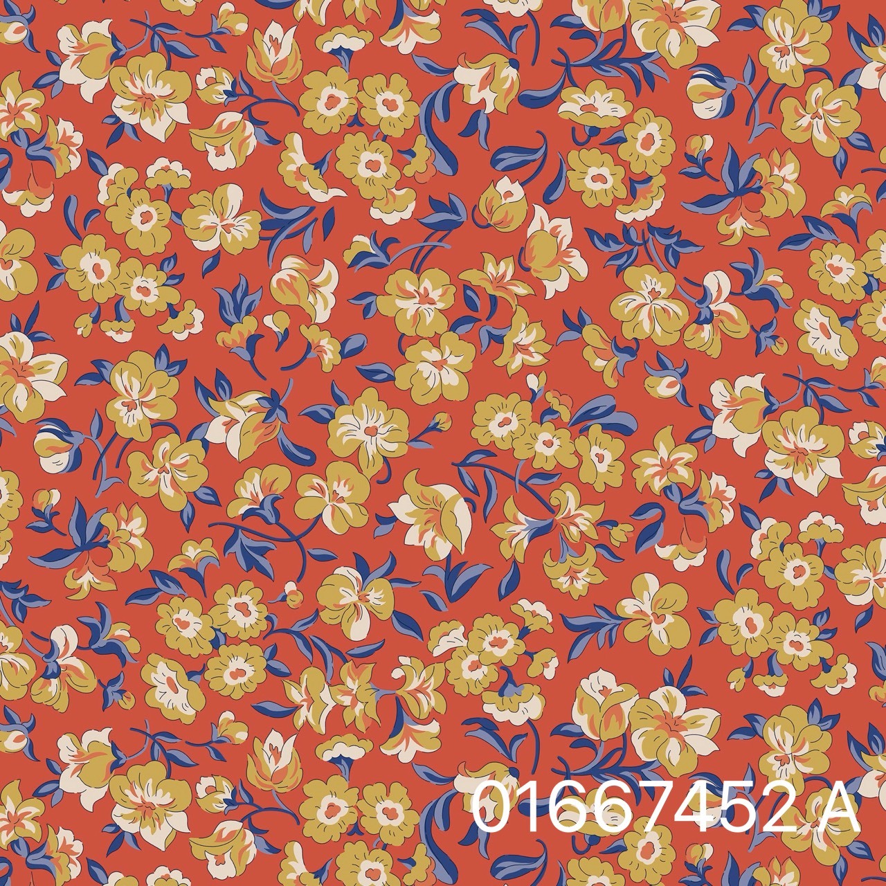 S__31072307
