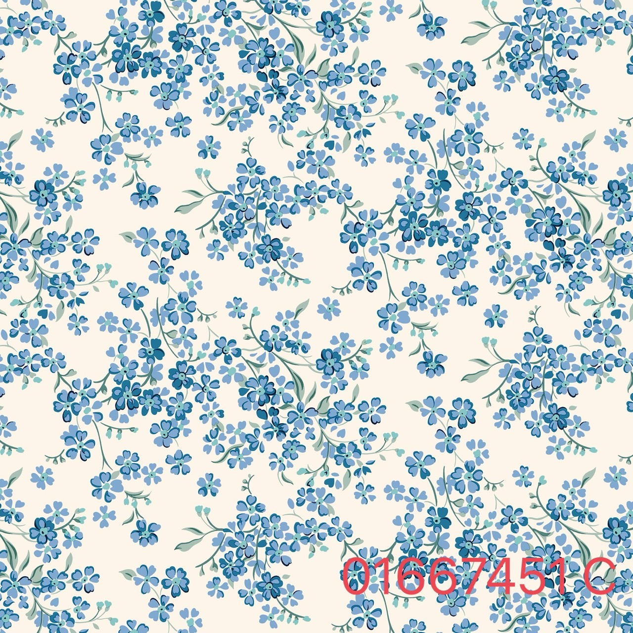 S__31072304
