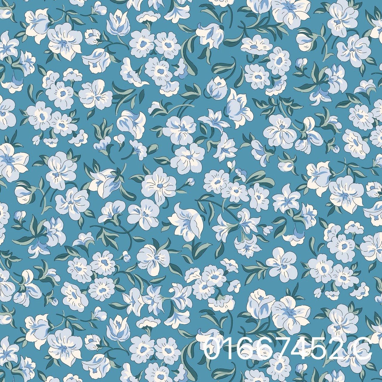 S__31072309