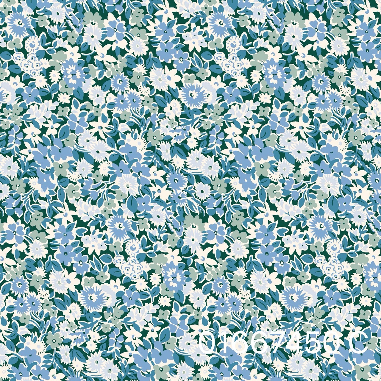 S__31072294