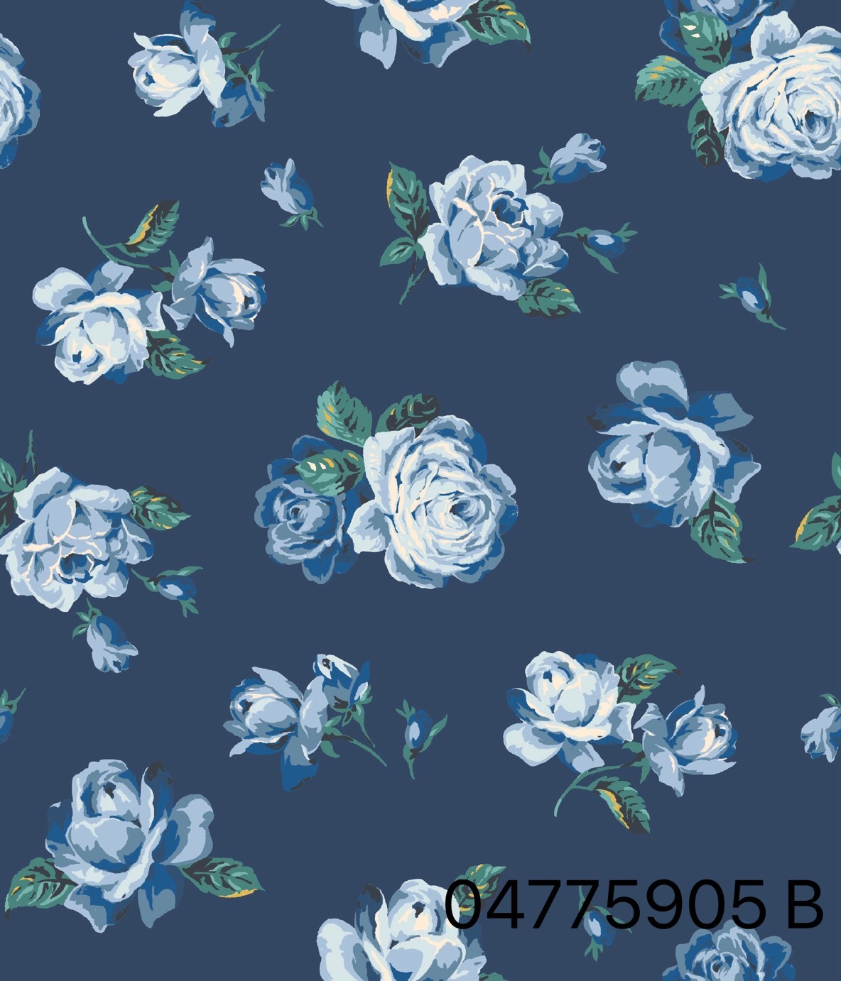 S__31072355