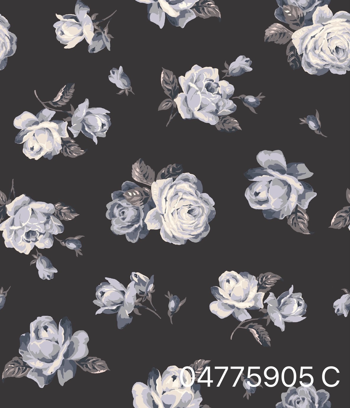 S__31072356
