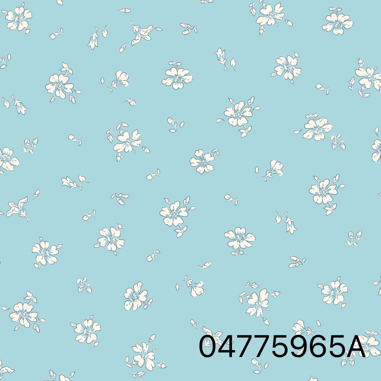 S__31776797