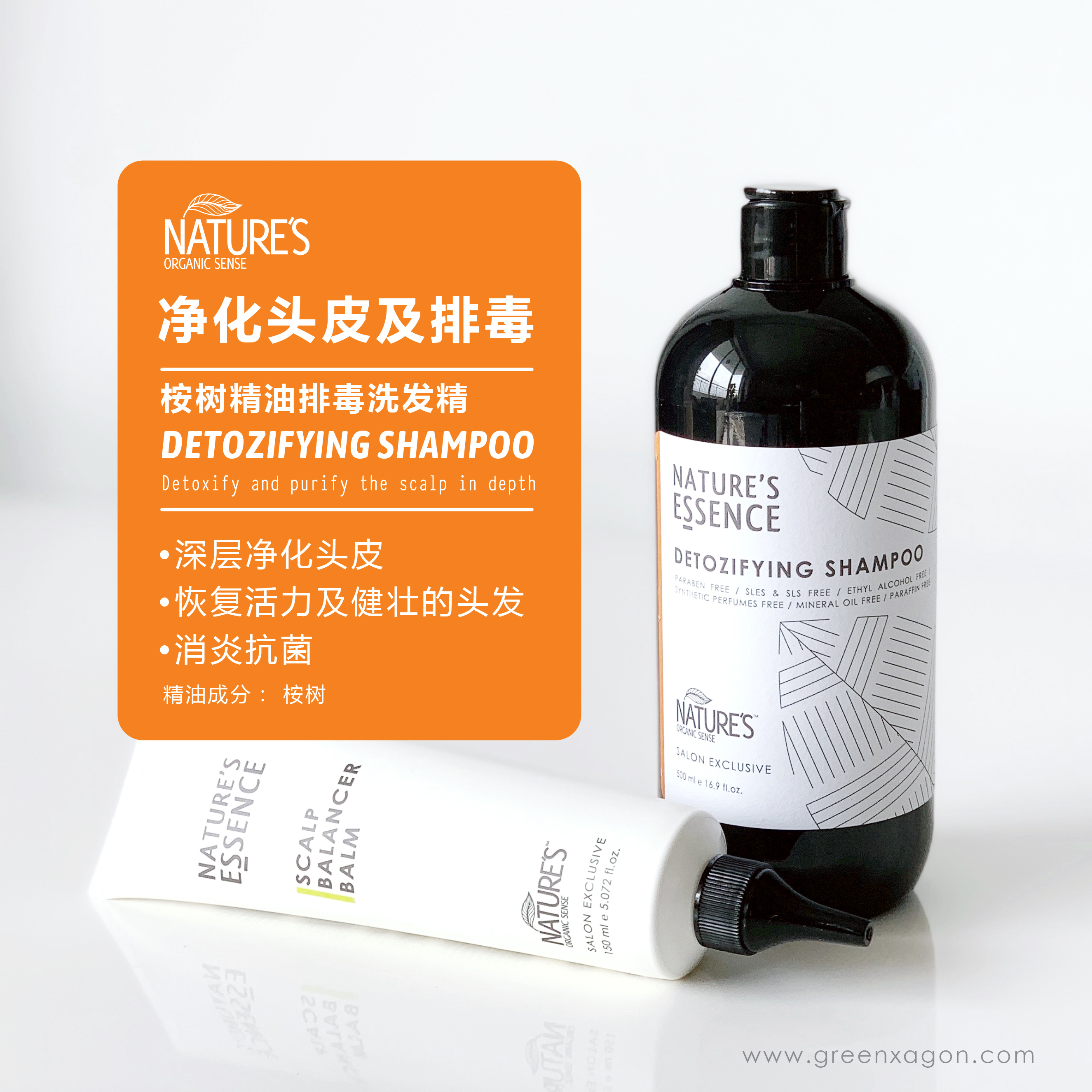 NATURES ESSENCE DETOZIFYING SHAMPOO 500ML Greenxagon