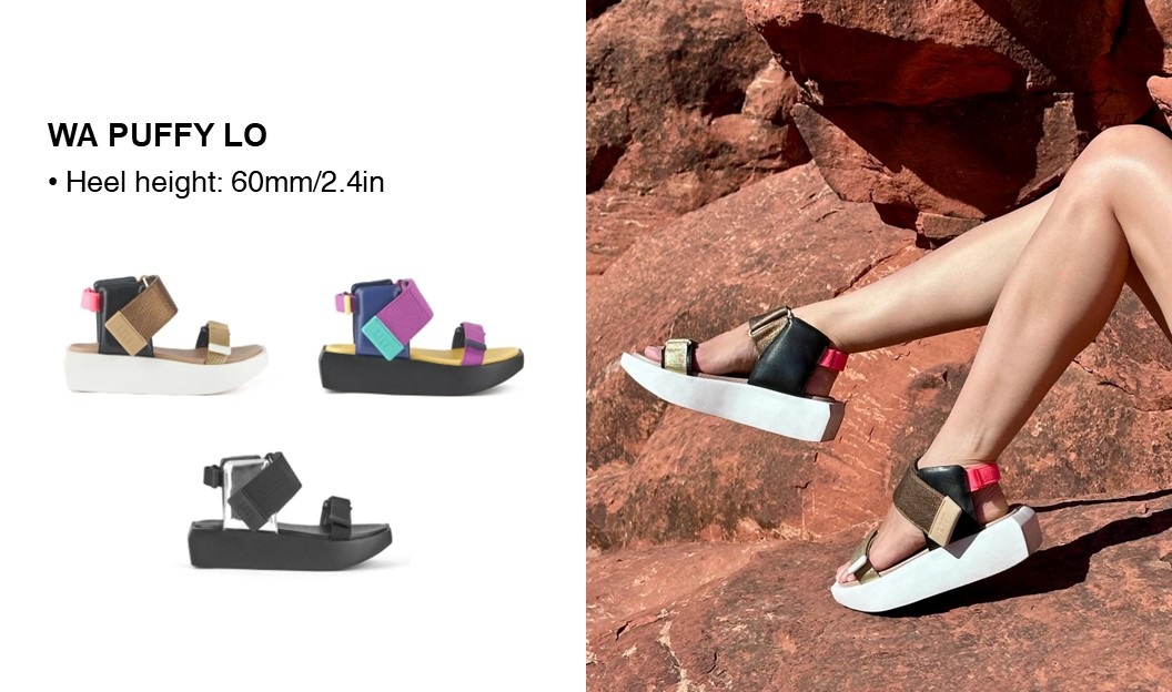 UN 7th Anniversary Special 2025 a04