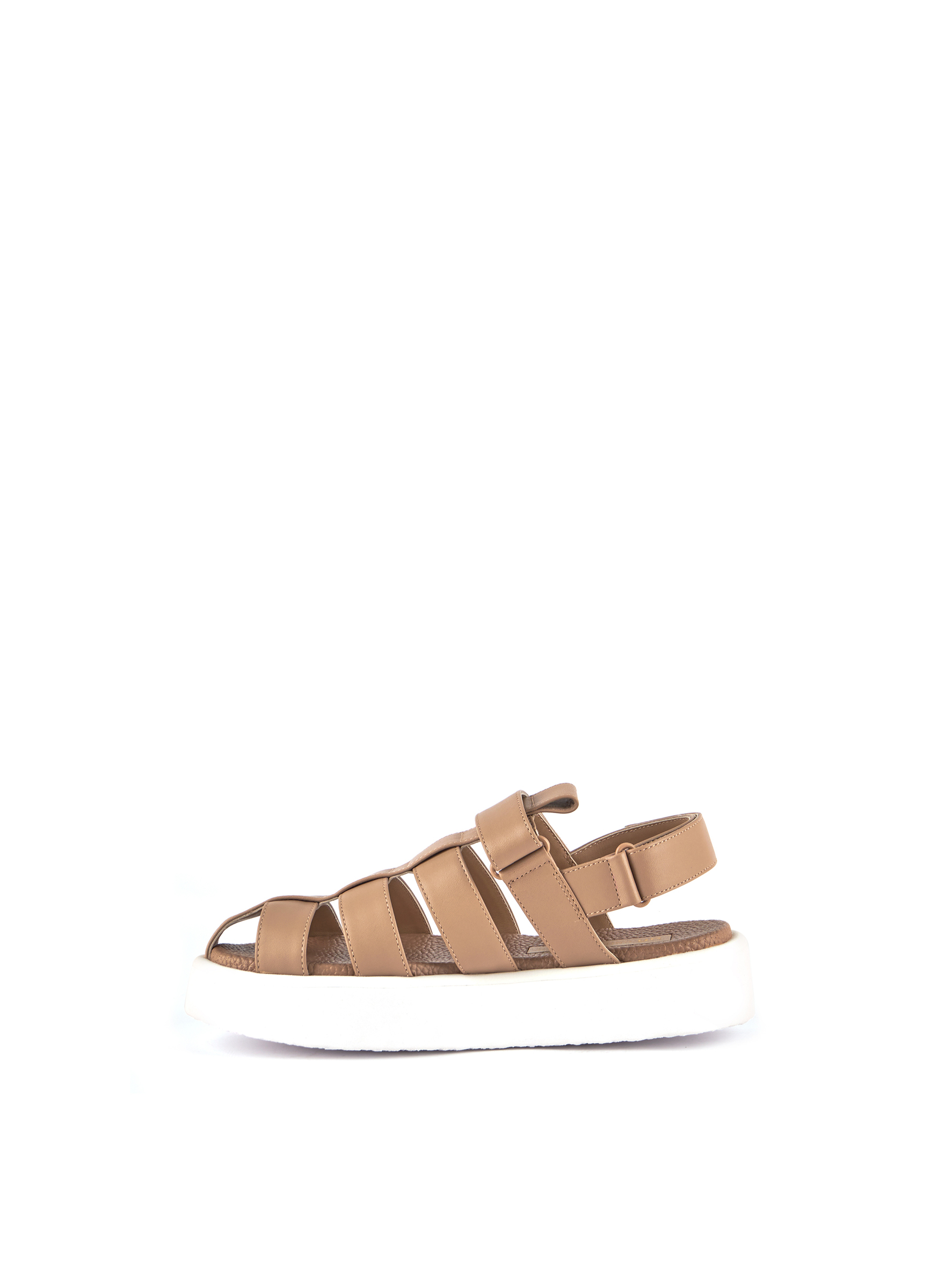 1084014416SS24_5