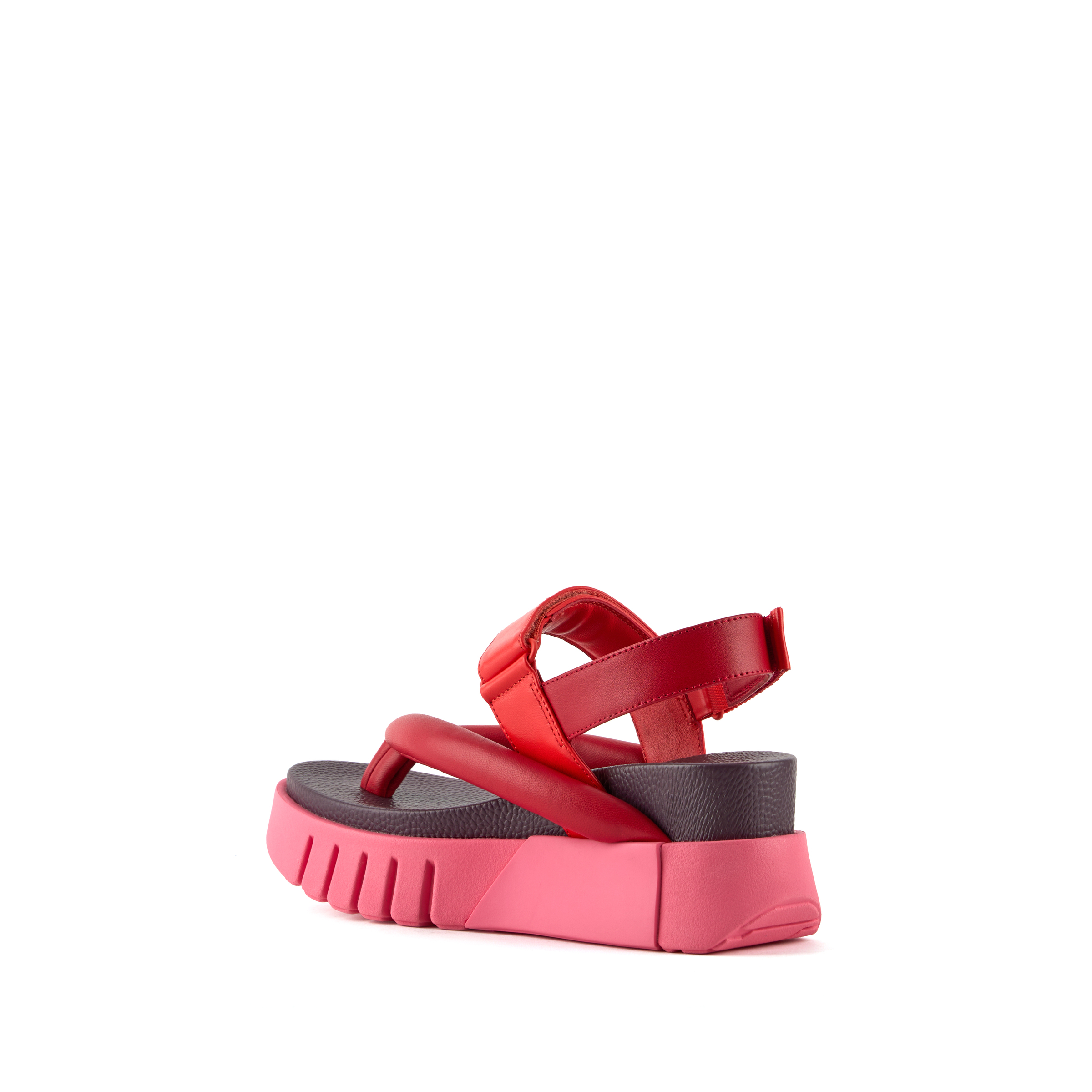 delta-tong-lily-angle-in