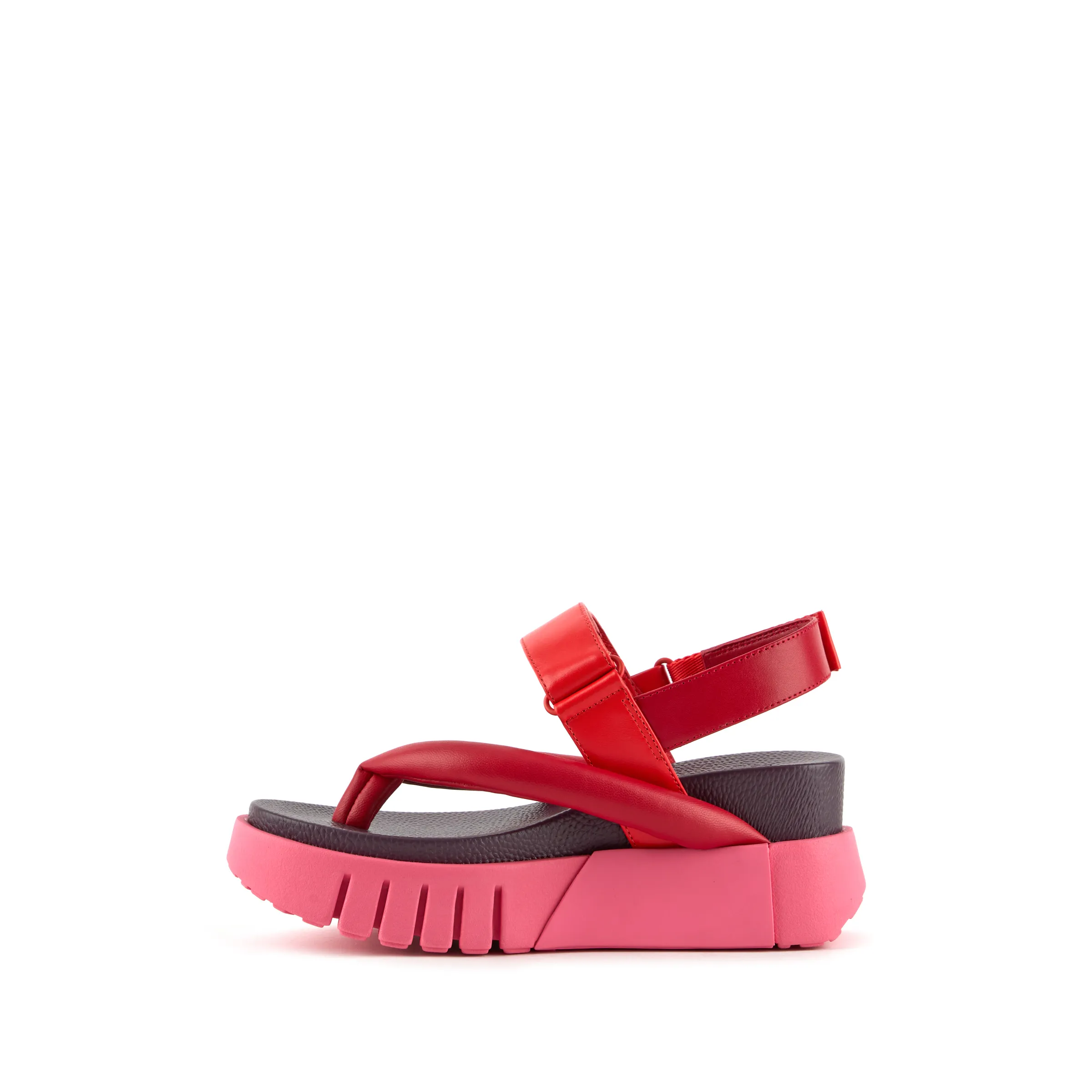 delta-tong-lily-inside