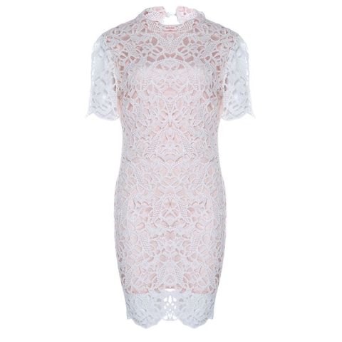 170219235137_206090301_1