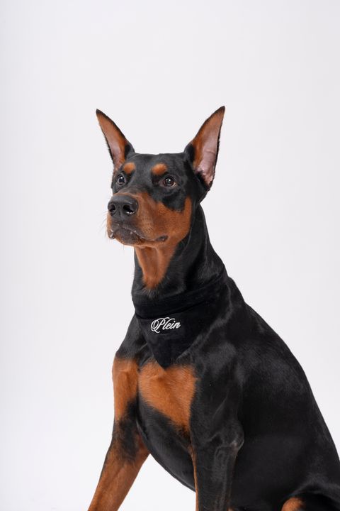 image_0A6D2783-AFD6-4658-A127-EDE222256930_1745211968