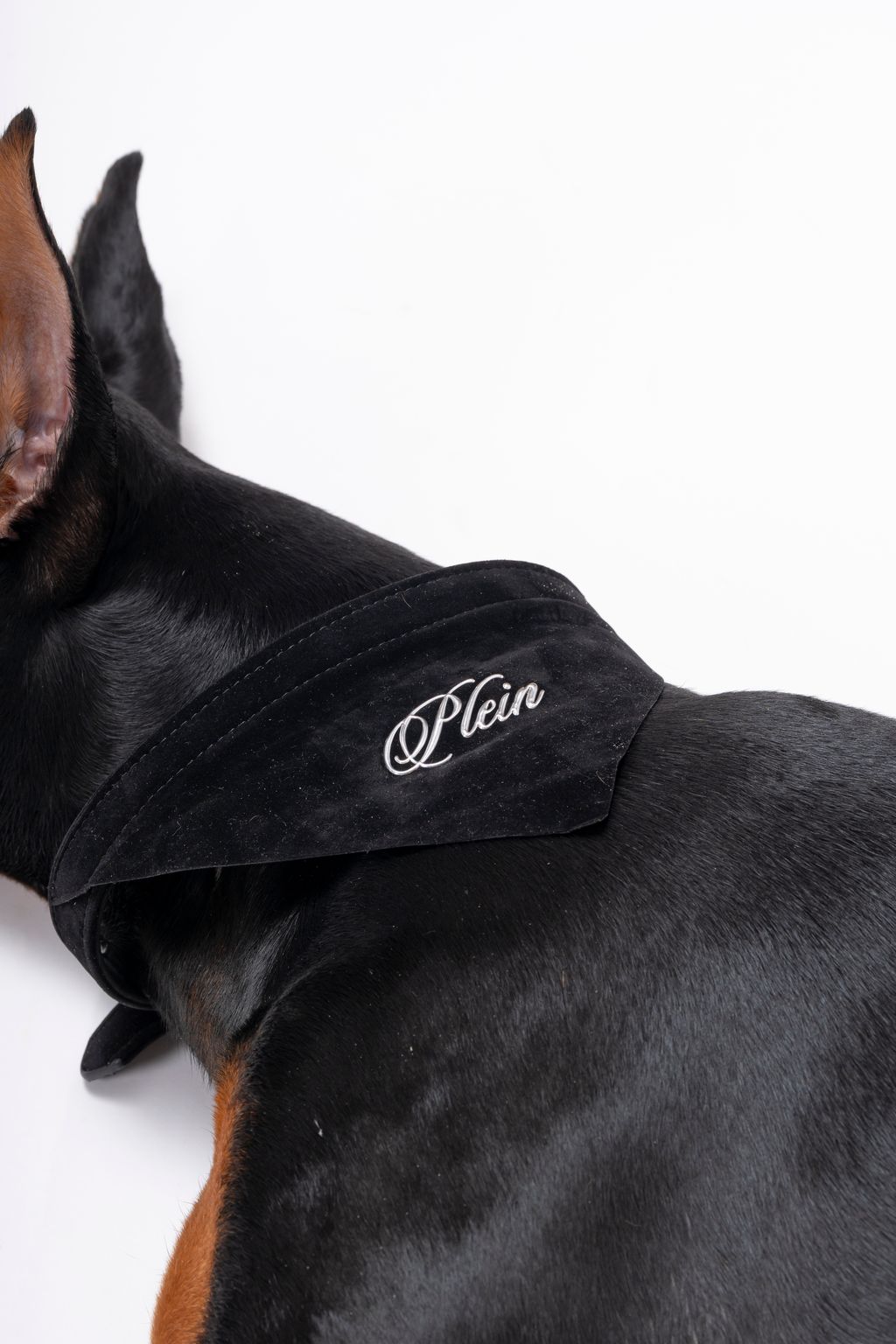 image_B2527A4A-270E-49B9-AA87-8F159DB4EA1B_1744873427