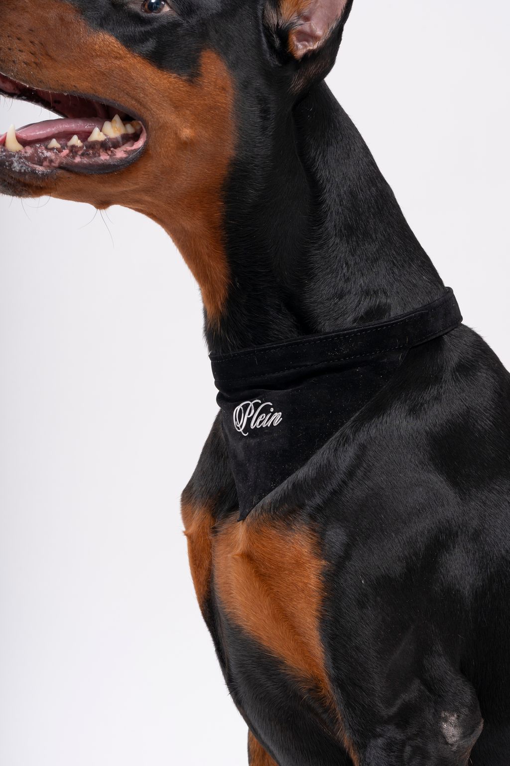 image_F464CF20-BB3B-4613-9670-24ABA8FA0EDA_1744873427