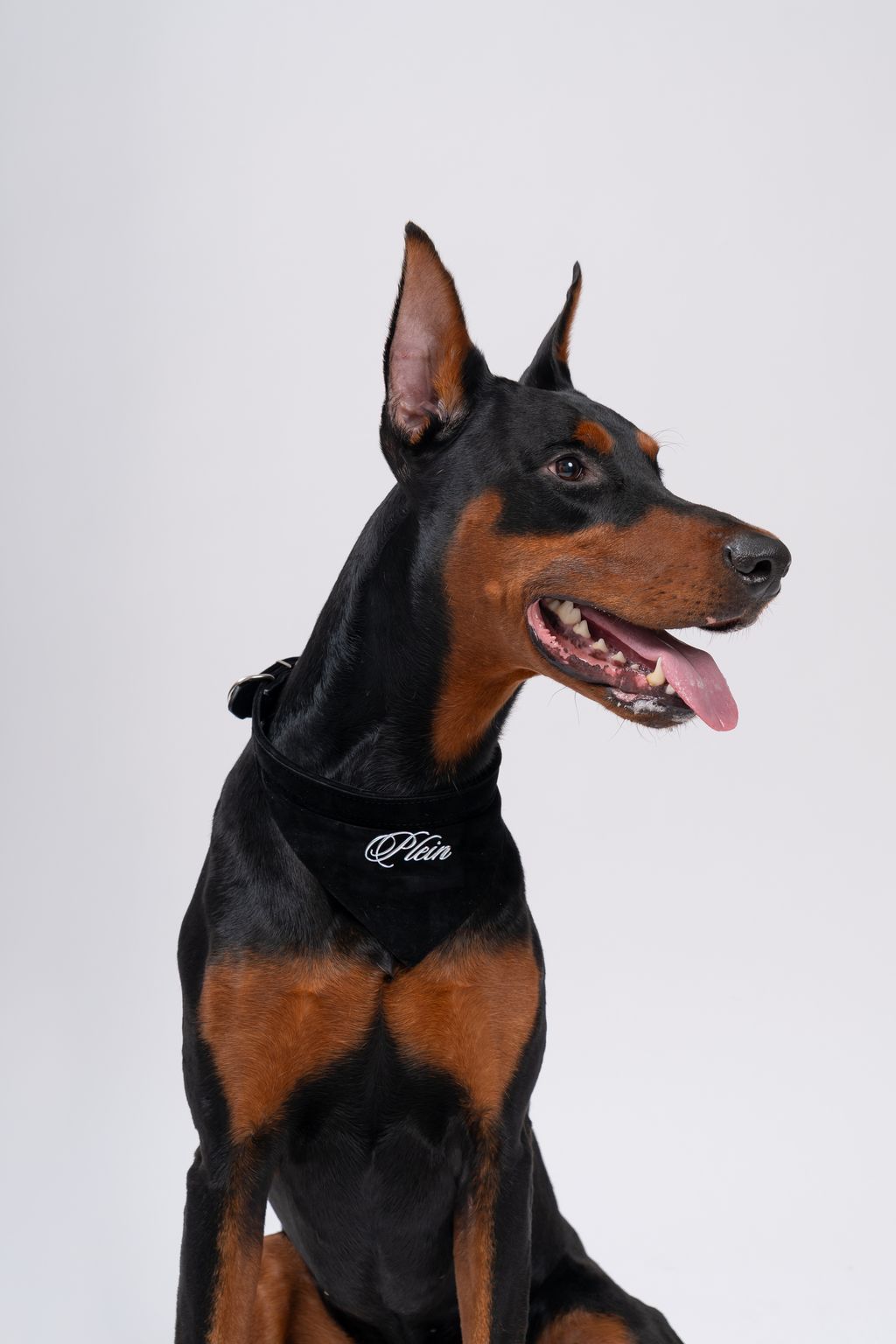 image_D0B16864-060C-4A8D-A595-5F86FAB71207_1744873427