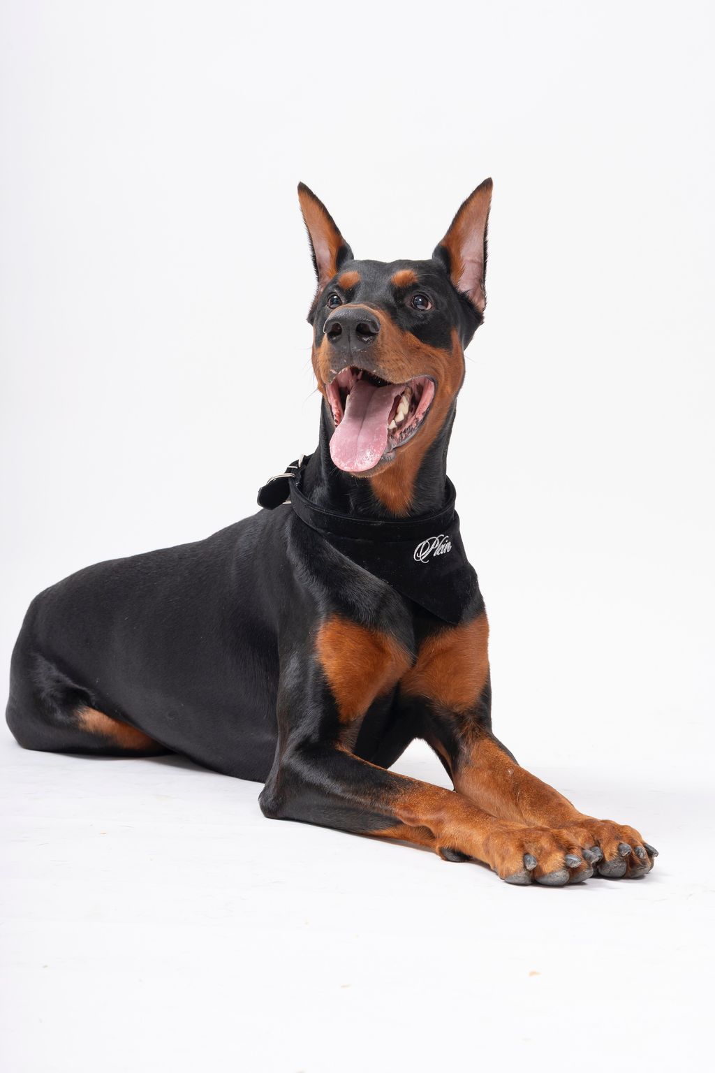 image_95131C14-AB40-41A0-ABE8-B33C9F9F82B5_1744873427