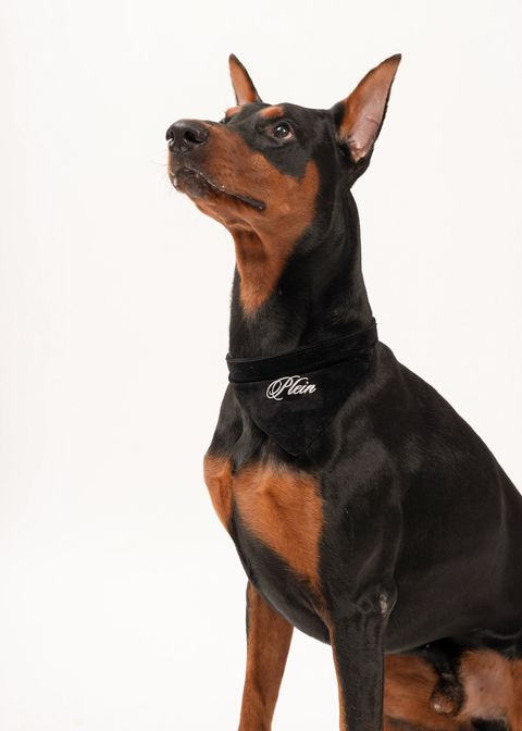 image_73885514-2929-41CF-82E2-F9A2138E6E7E_1745214711