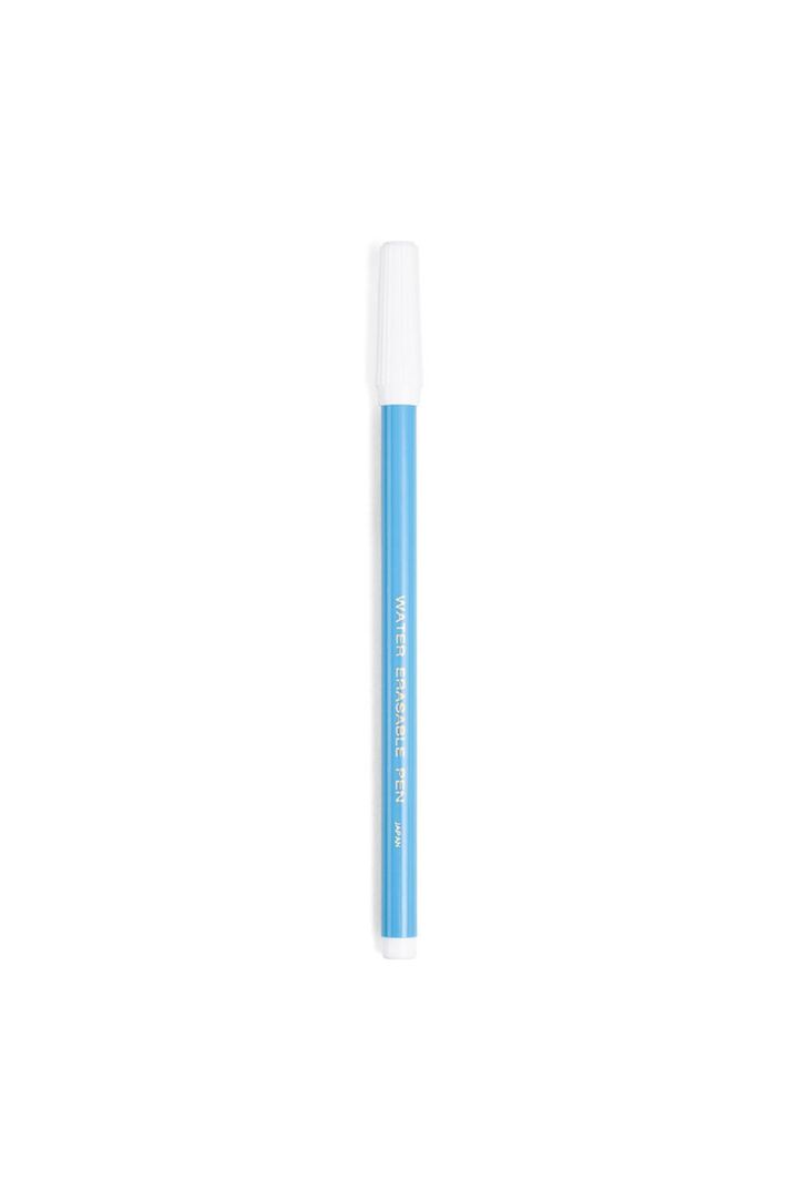 transer pen.jpg