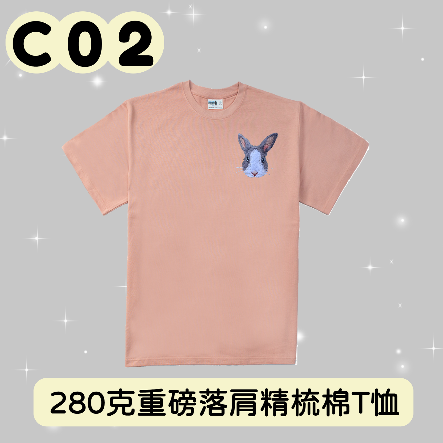 C02 封面