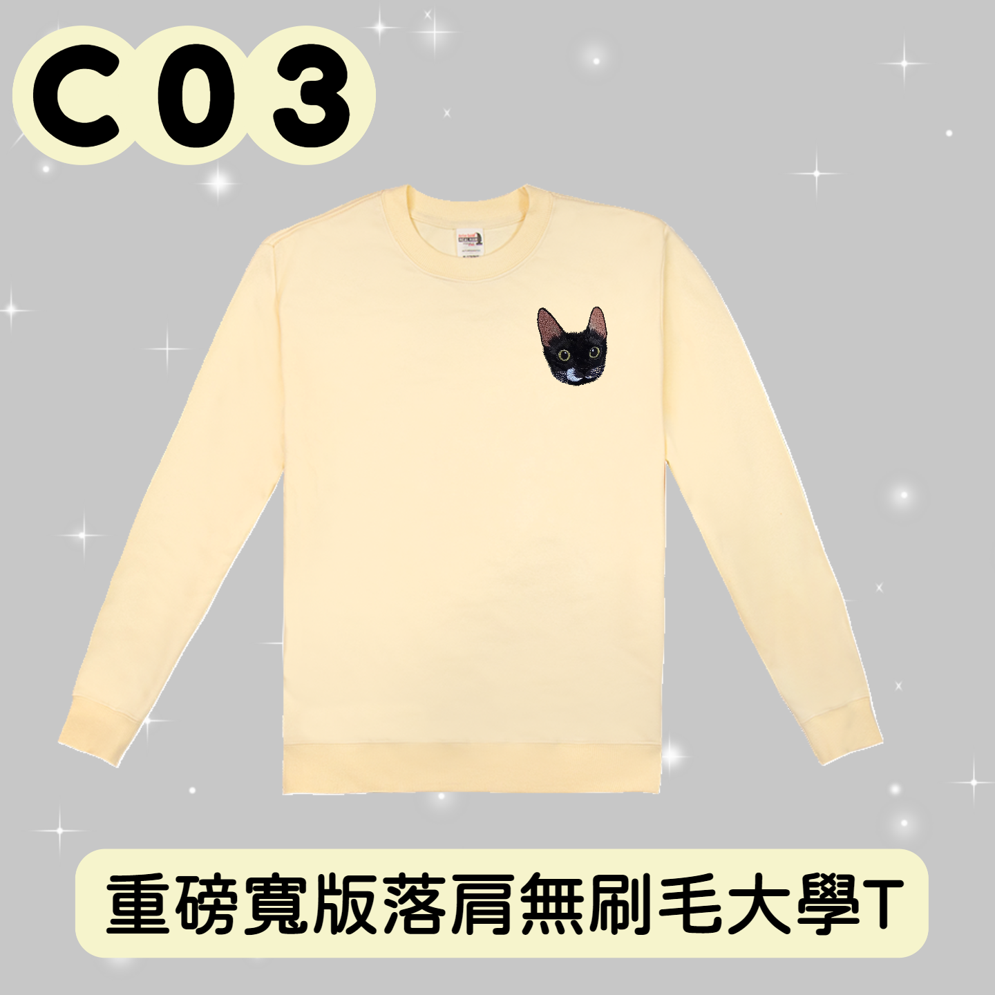 C03 封面