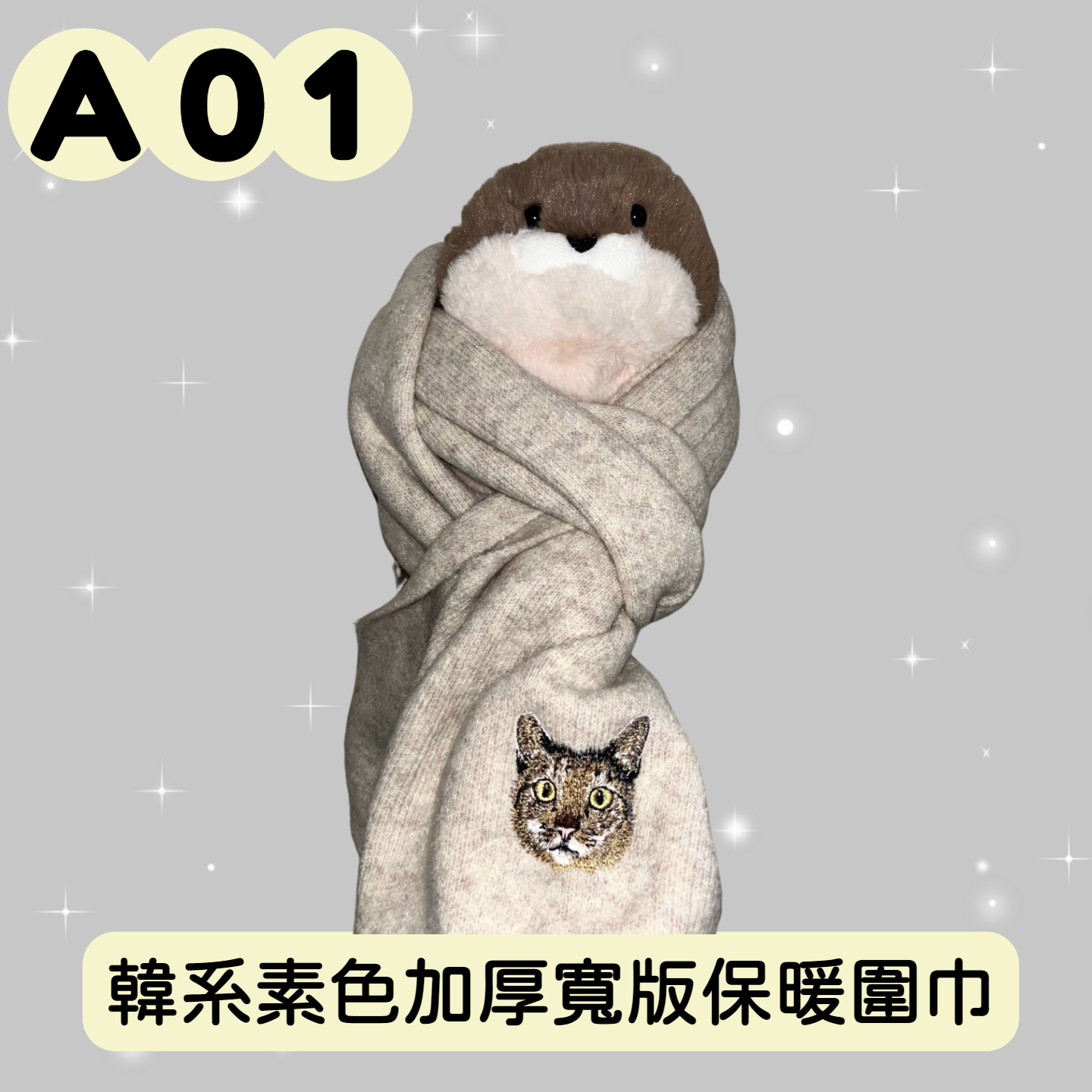A01 封面