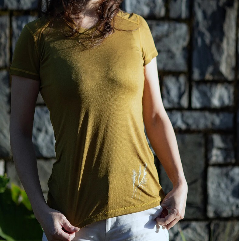 螢幕擷取畫面 2025-08-24 161201