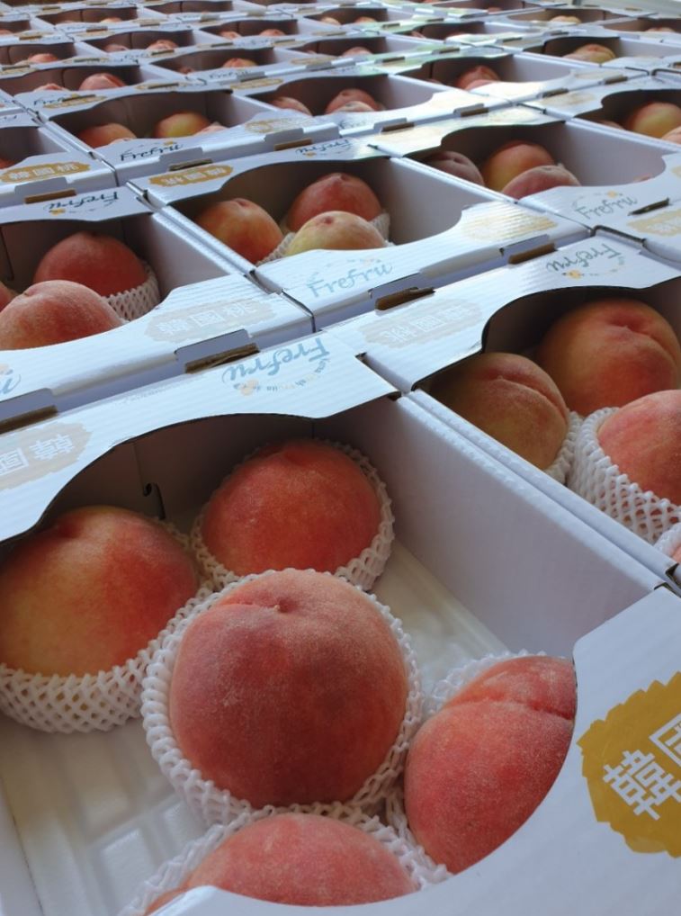 Pre Order 2 Days In Advance Korean Fresh Peach 韩国新鲜水蜜桃 Air Flown 限量 2nd Batch Ssada Store