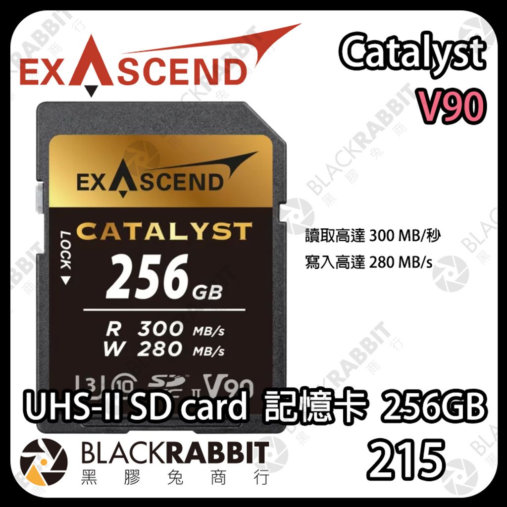 Catalyst-V90-256-01