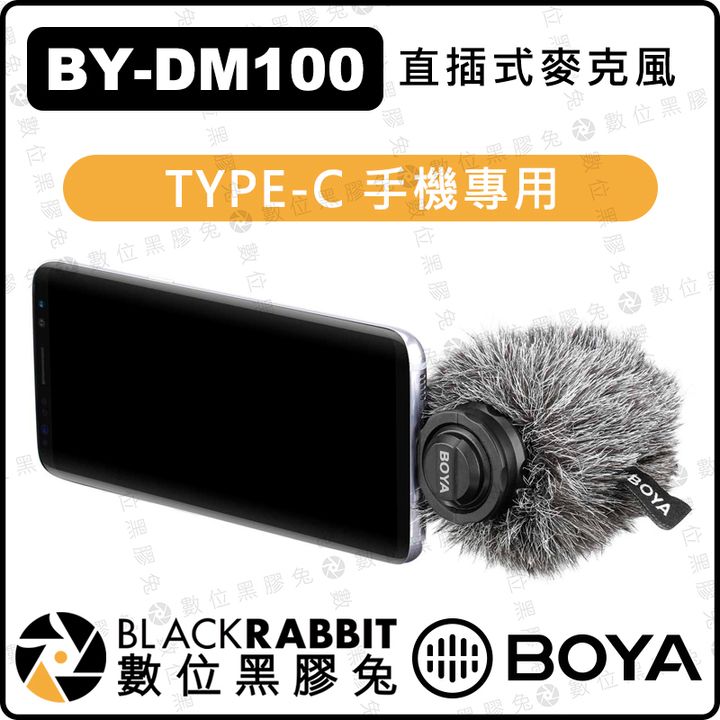 dm100-01.jpg