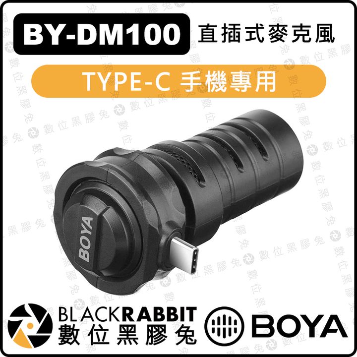 dm100-02.jpg