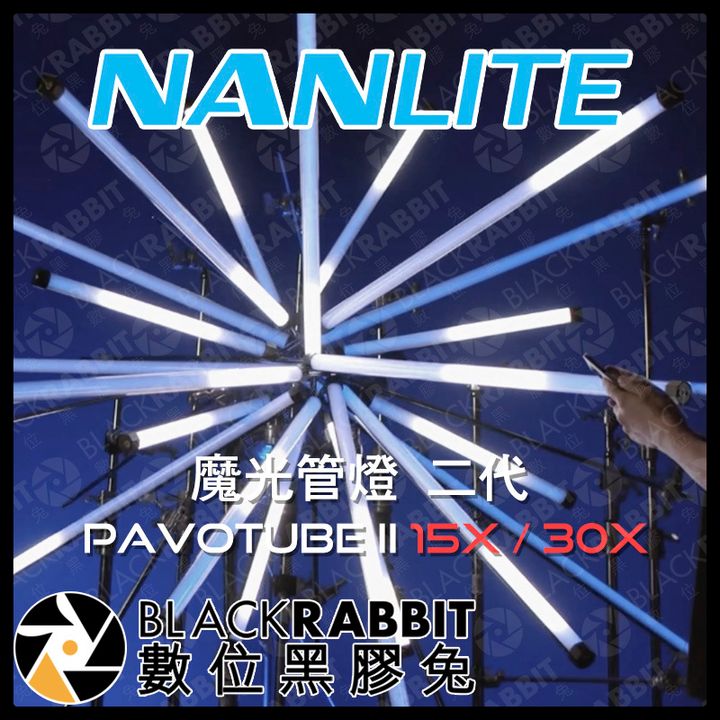 蝦.jpg