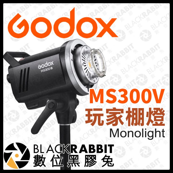 MS300V