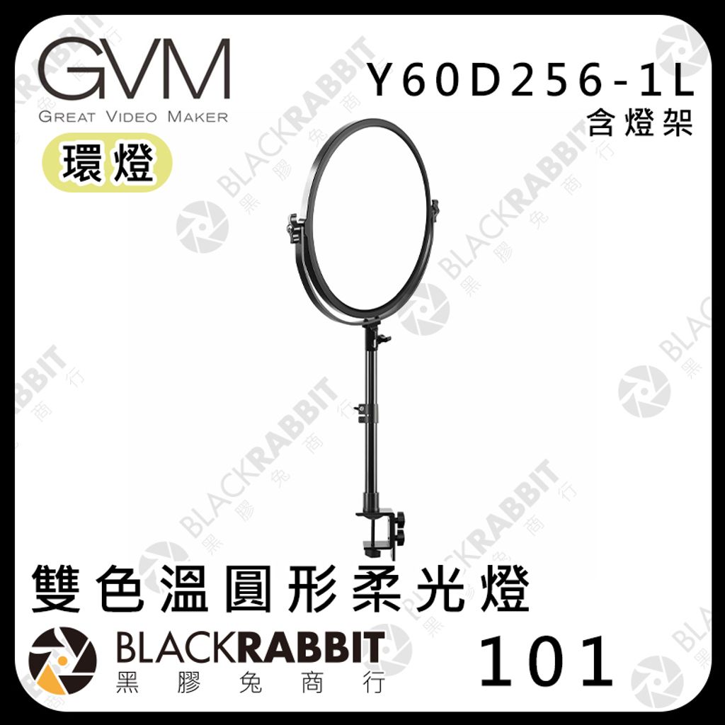 Y60D256