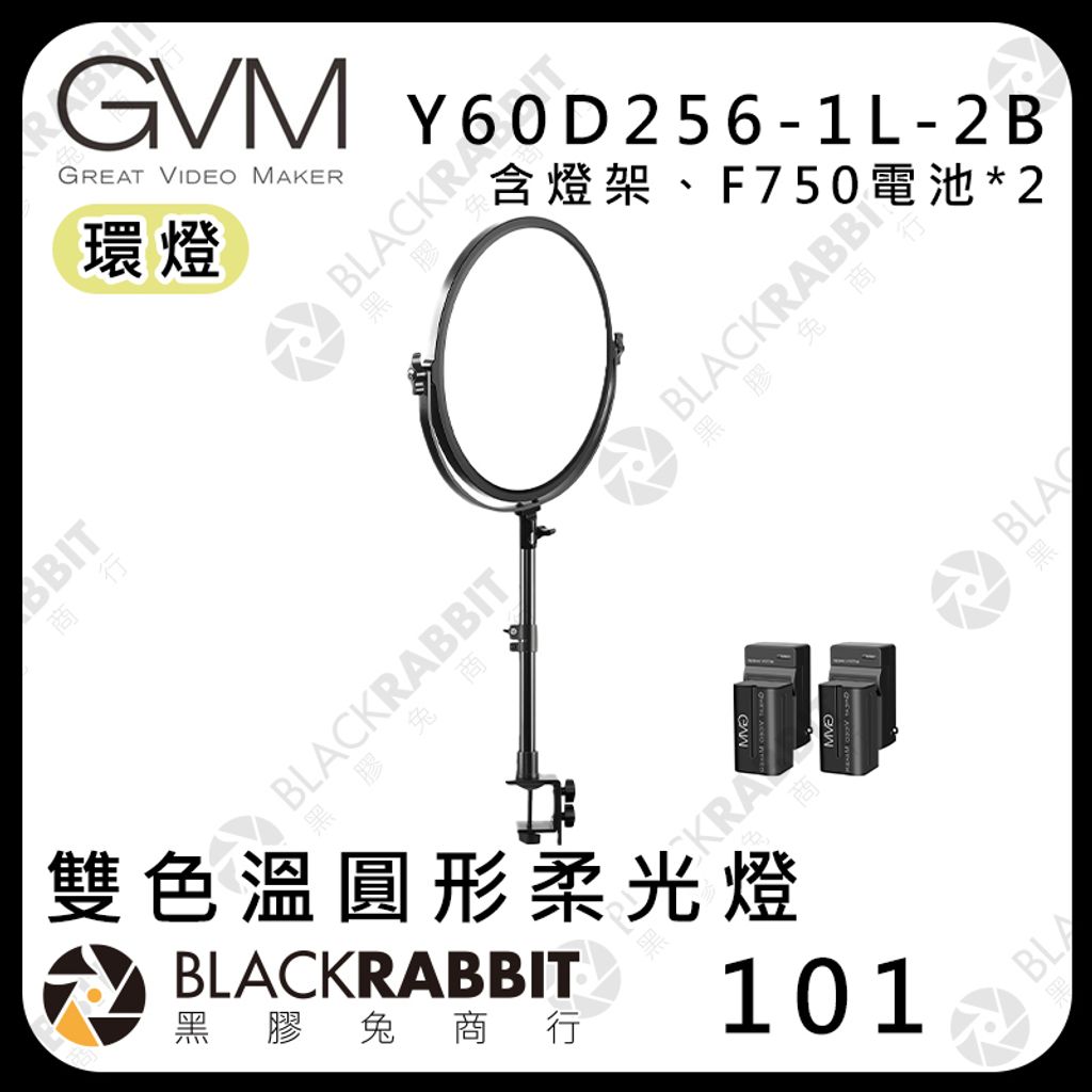 Y60D256-2B