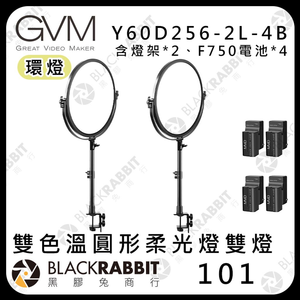 Y60D256-2L-4B