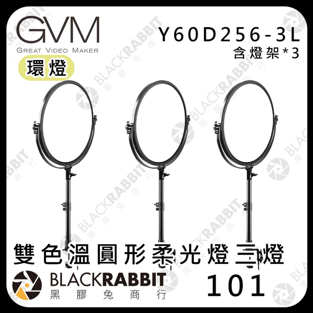Y60D256-3L
