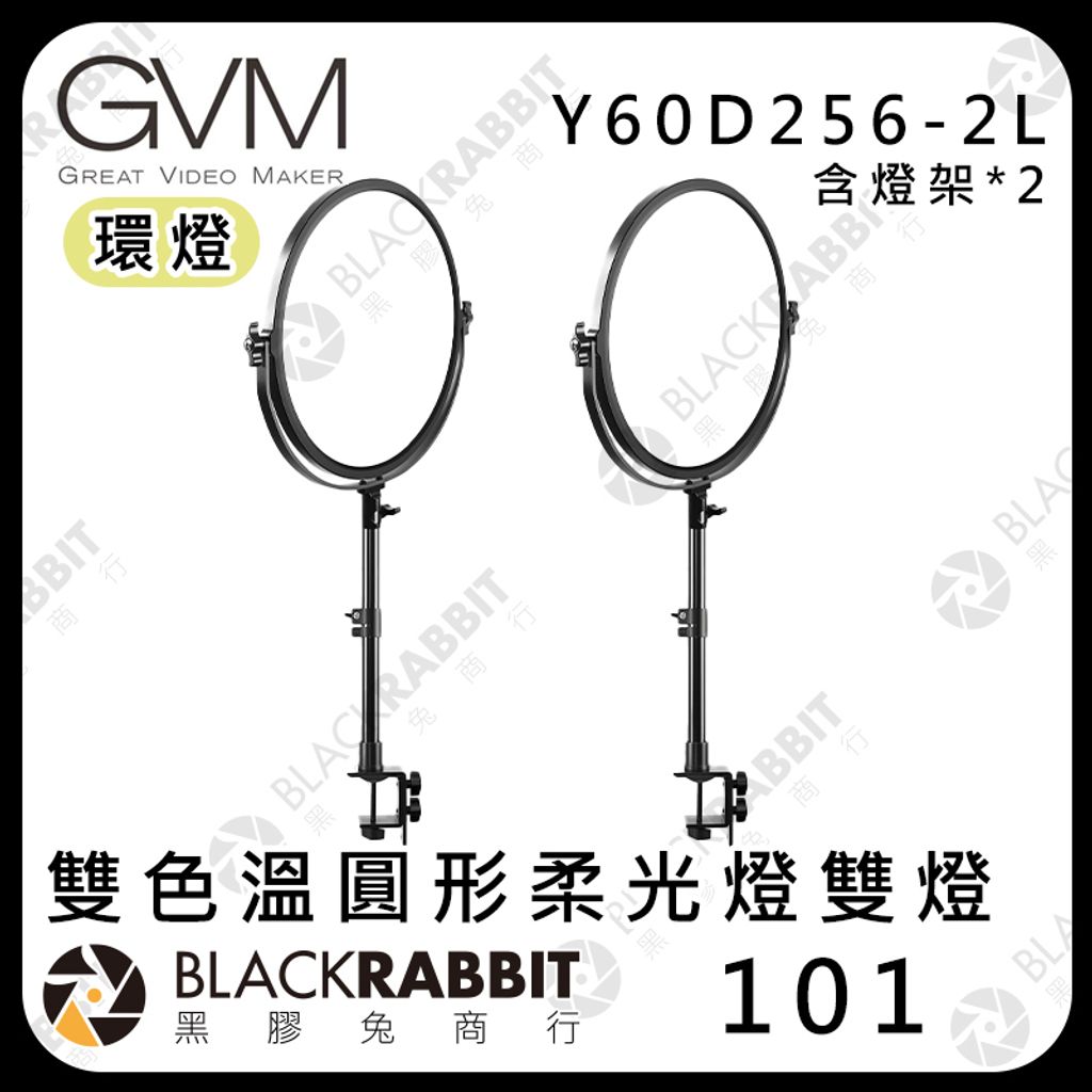Y60D256-2L