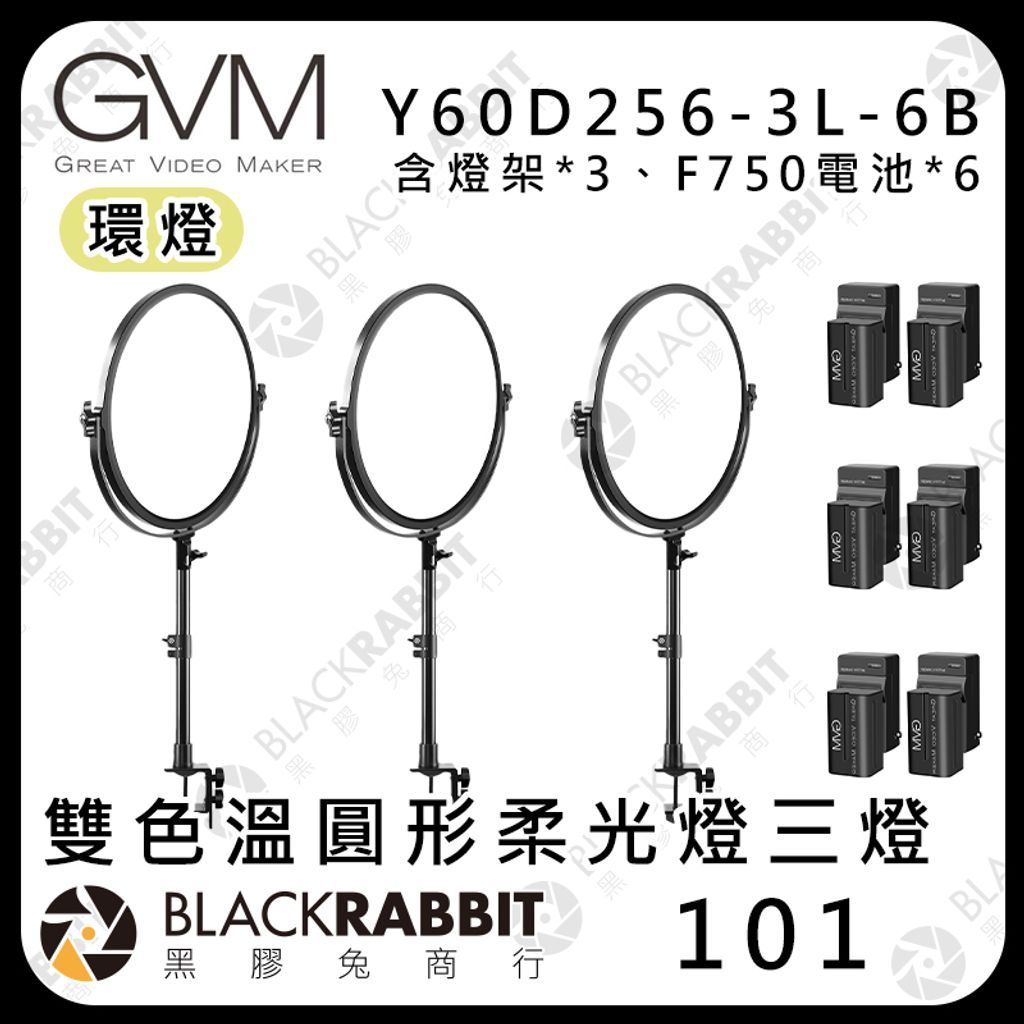 Y60D256-3L-6B
