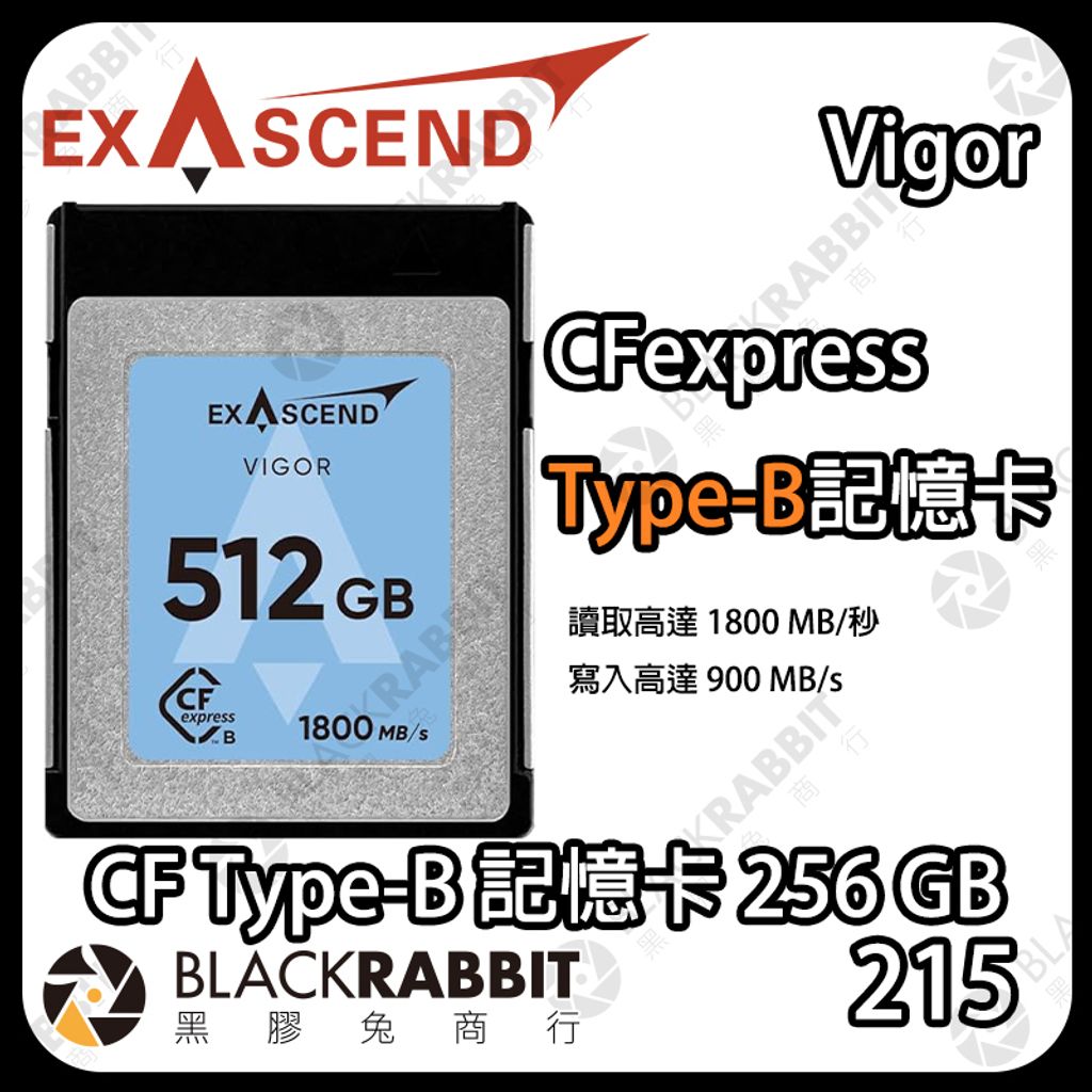 VIGOR-Type B-256GB-01