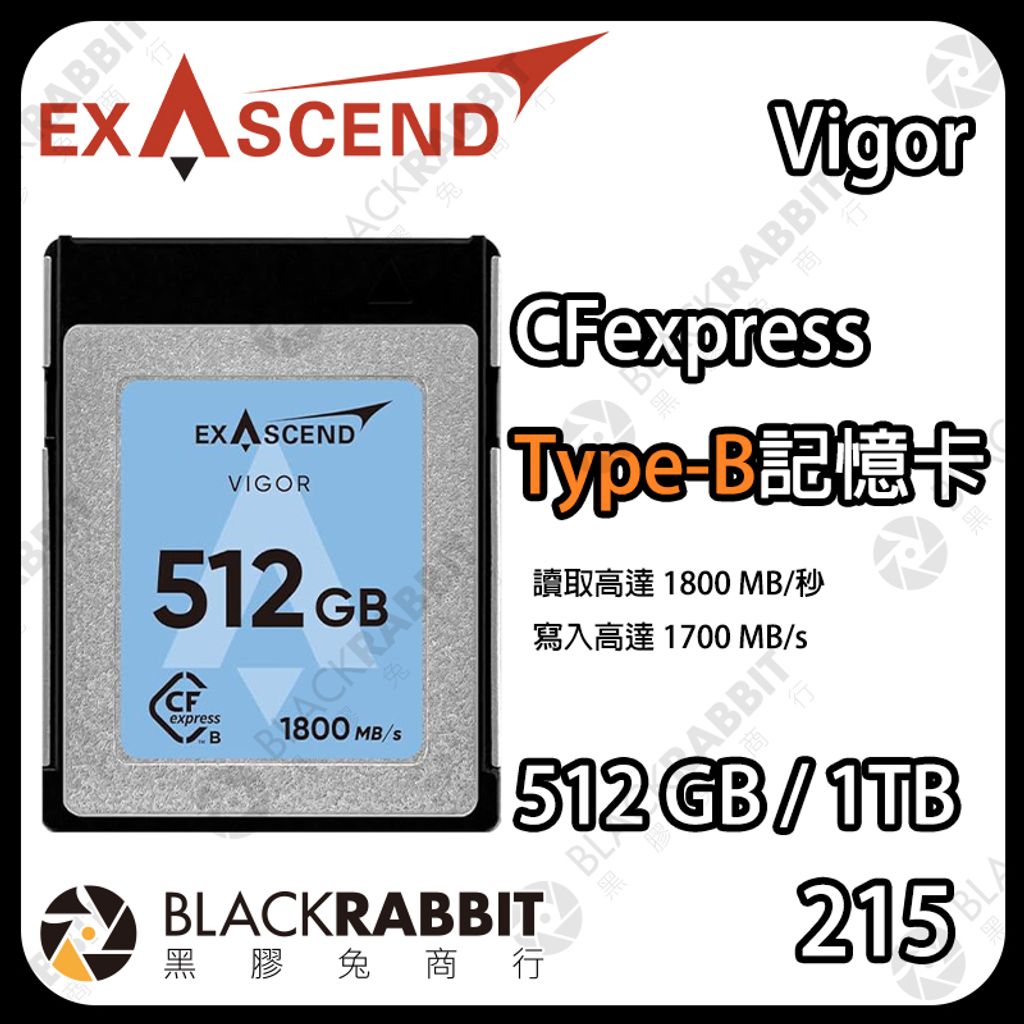 VIGOR-Type B-512GB1TB-01