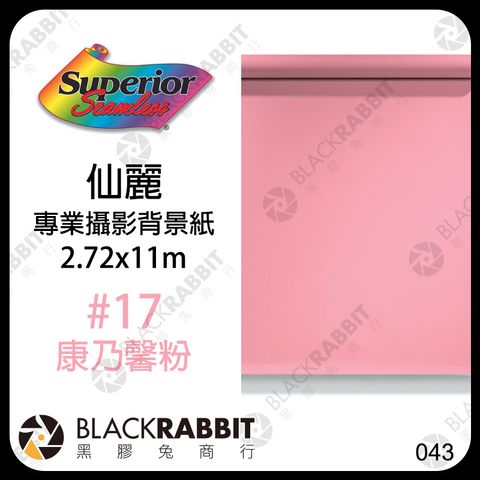 康乃馨粉 17