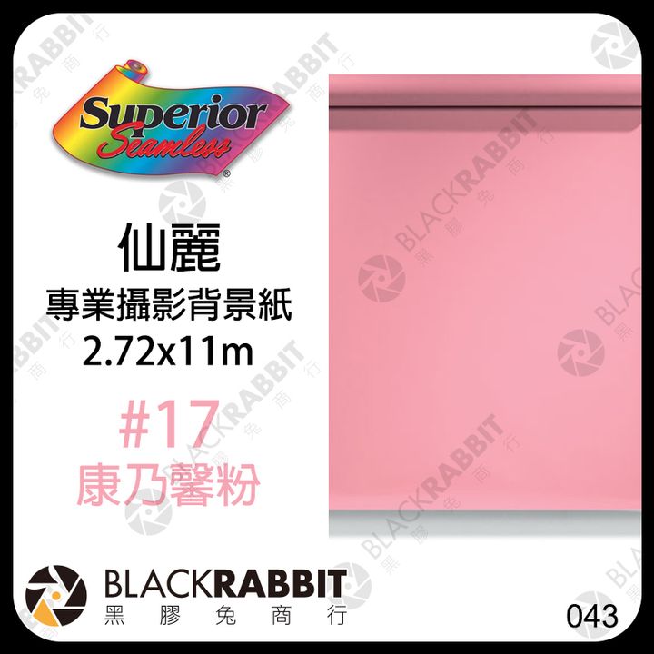 康乃馨粉 17